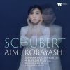 Download track 08. Piano Sonata No. 19 In C Minor, D. 958 IV. Allegro