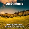 Download track Soothing Music For A Romantic Atmosphere