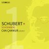 Download track Piano Sonata In A Minor, Op. 164, D 537: I. Allegro Ma Non Troppo