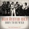 Download track Buck's Boogie (Reprise) (Live At The Nassau Coliseum, Uniondale, New York 1977)