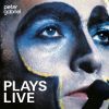 Download track I Don't Remember (Live)