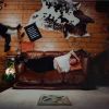 Download track I've Been Much Too Distant For Most Of My Life