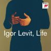 Download track 06 Elegies BV 249 VII. Berceuse