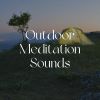 Download track Rain And Trees