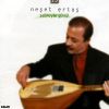Download track Mecnun Gibi Dolaşıyom