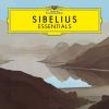 Download track Sibelius: Spring Song - Symphonic Poem Op. 16