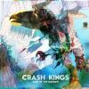 Download track Inside Upside Down