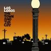 Download track Two Dogs And A Bone