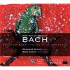 Download track 1. Sonate En Si Bemol H513 Wq77 - 1Allegro Di Molto