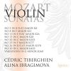 Download track Mozart: Variations In G Minor 'Hélas, J'ai Perdu Mon Amant', K360 - 2: Variation I'