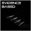 Download track False Flag