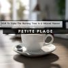 Download track Reflections In Morning Light