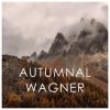 Download track Siegfried / Erster Aufzug: Notung! Notung! Neidliches Schwert!