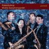 Download track 11 Toccata And Fugue In D Minor, BWV 565 (Arr. Janez Ursej)