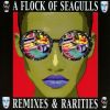 Download track Who's That Girl (She's Got It) (Instrumental)