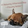 Download track Beating Notes