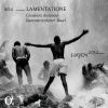 Download track Symphony No. 30 In C Major HOB. I'30 Alleluia I. Allegro