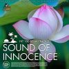 Download track Chasing The Illusions
