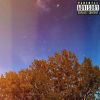 Download track Say So