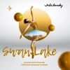 Download track Swan Lake, Op. 20, TH 12, Act III, No. 19, Pas De Deux IV. Coda (Allegro Molto Vivace)