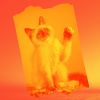 Download track Soulful Jazz Saxophone - Vibe For Friendly Cats