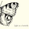 Download track Light As A Butterfly