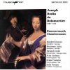 Download track 1. Concert »Zampogna« In C Major: Allegro - Largo - Allegro Sopranino Recorder Baroque Vilin And B. C.