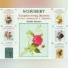 Download track String Quartet No. 14 In D Minor D. 810 'Death And The Maide' - Allegro