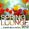 Download track Birds Eye View (Nature Mix)