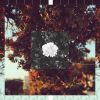 Download track Too Tired To Sleep