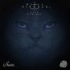 Download track Respuestas Modulares (Original Mix)
