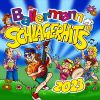 Download track Ich Bin Dilayla