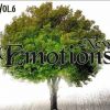 Download track Fiore