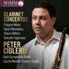 Download track Clarinet Concerto III. Finale. With Humour