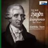 Download track Symphony No. 5 In A Major Hob. I: 5: 1 Adagio, Ma Non Troppo