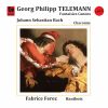 Download track Fantasy No. 10 In F-Sharp Minor, TWV 40: 11: III. Moderato