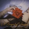 Download track Catch A Dream