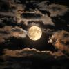 Download track Soft Echoes Of Peaceful Rest