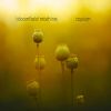 Download track Hedonic Treadmill