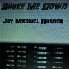 Download track Blues In A Bottle