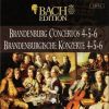 Download track Concerto No. 6 In B Flat Major BWV 1051 - I Allegro