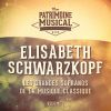 Download track La Flûte Enchantée: Act II - Ach, Ich Fühl's