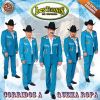 Download track El Borrego