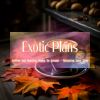 Download track Tropical Treasures Tango