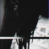 Download track Dangerous