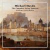 Download track 01-10 - IV. Rondo. Allegro Molto