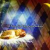 Download track Pure Lullaby