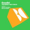 Download track The Perfect Way For Us (Original Mix)