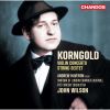Download track Violin Concerto In D Major, Op. 35: I. Moderato Nobile
