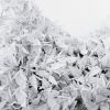 Download track Seventeen Years To Hatch An Invasion